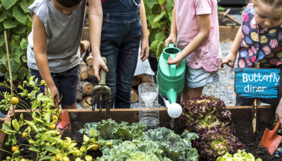 Portable Sinks for Your Community Garden
