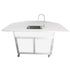 Monsam PSE-2040-White Monsam PSE-2040 Portable Science Lab Workstation w/ Attached Portable Sink 33" H